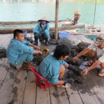 Ha Long Bay, Vietnam - photos and review - Zatoka Ha Long, Wietnam - zdjęcia i opis