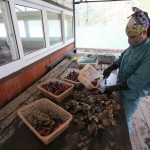 Ha Long Bay, Vietnam - photos and review - Zatoka Ha Long, Wietnam - zdjęcia i opis