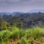 Tha Khaek Loop, Laos - Day 3 - Kong Lo cave