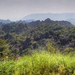 Tha Khaek Loop, Laos - Day 3 - Kong Lo cave