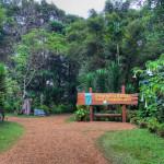 Bolaven Plateau, Laos - Pakse to Sekong - Beautiful waterfalls and coffee plantations