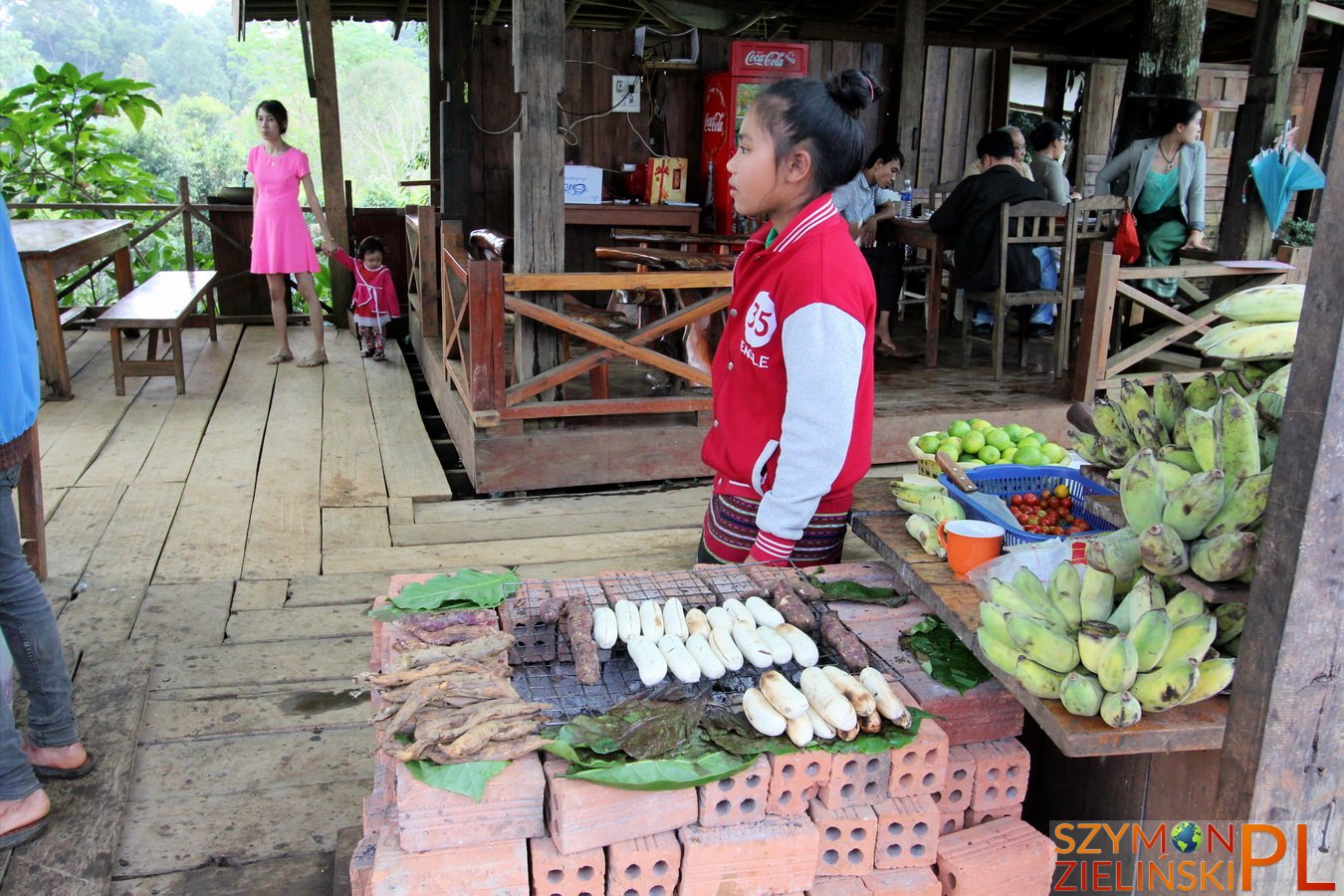 Bolaven Plateau, Laos - Pakse to Sekong - Beautiful waterfalls and coffee plantations