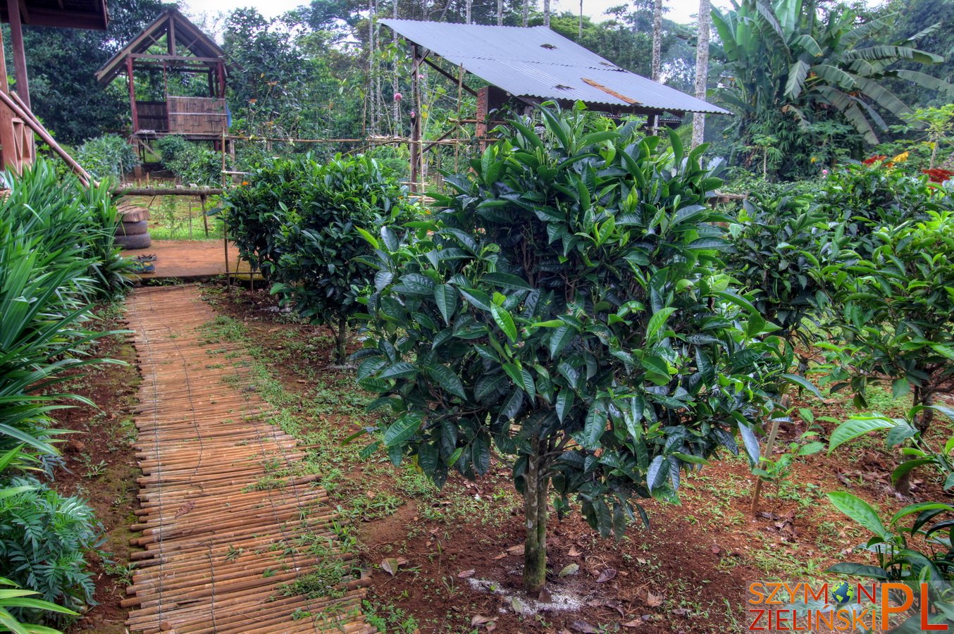 Bolaven Plateau, Laos - Sekong to Pakse - Beautiful waterfalls and coffee plantations