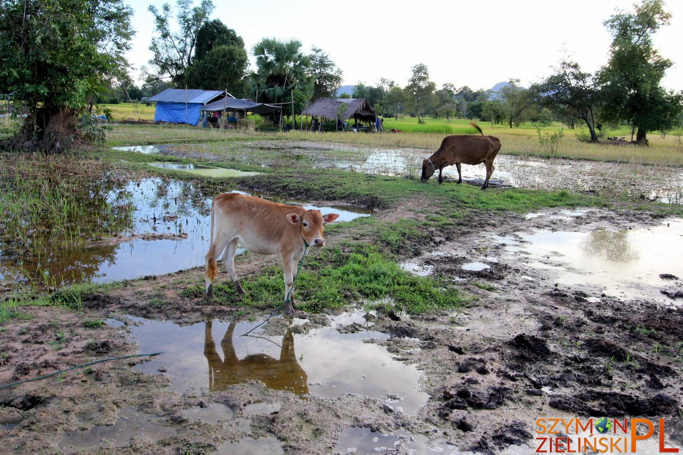 Si Phan Don (Four Thousand Islands), Laos - Don Det