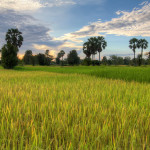 Si Phan Don (Four Thousand Islands), Laos - Don Det