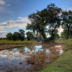 Si Phan Don (Four Thousand Islands), Laos - Don Det