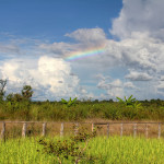 Si Phan Don (Four Thousand Islands), Laos – Don Khong