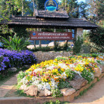 Doi Ang Khang Royal Agricultural Station, Chiang Mai province, Thailand