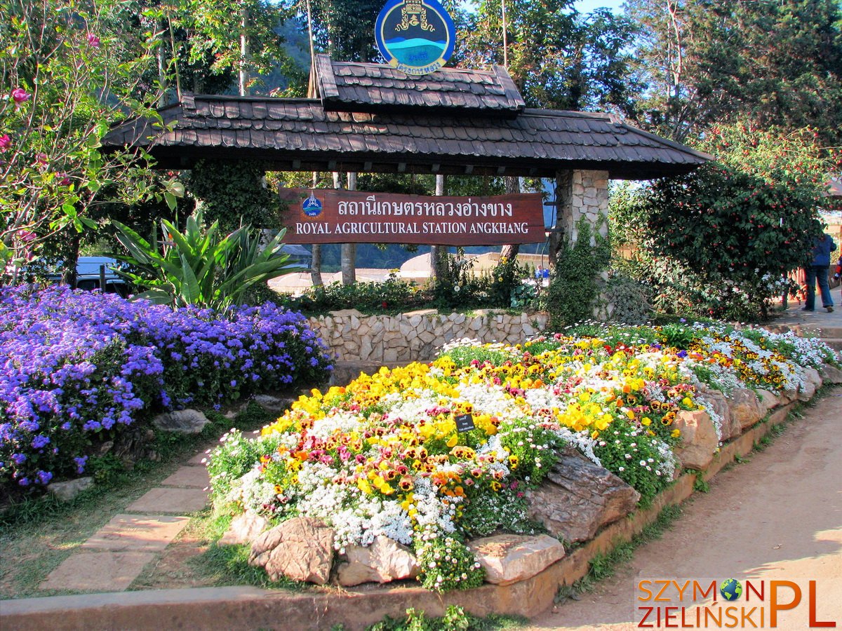 Doi Ang Khang Royal Agricultural Station, Chiang Mai province, Thailand