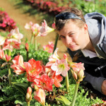 Doi Ang Khang Royal Agricultural Station, Chiang Mai province, Thailand