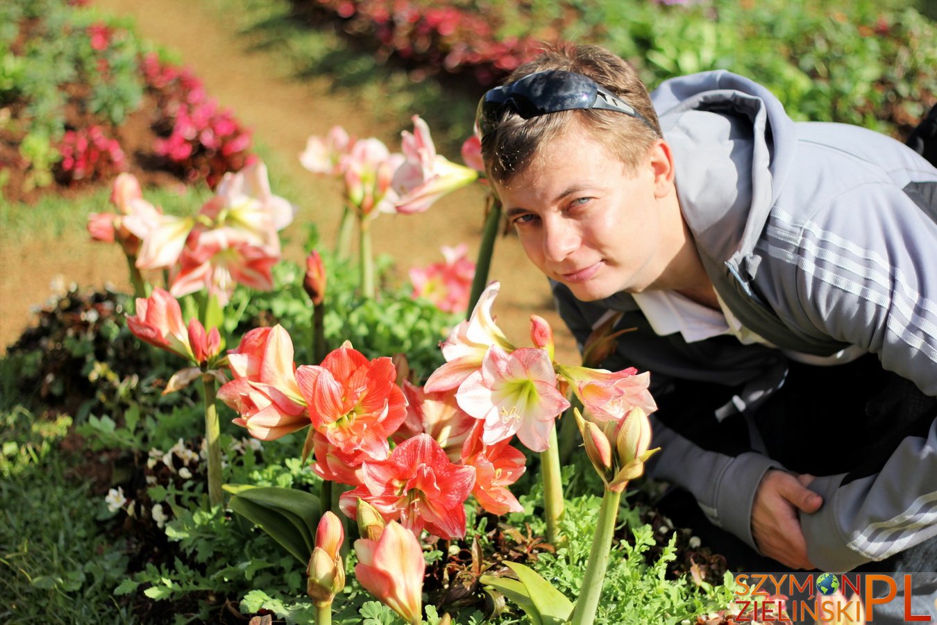 Doi Ang Khang Royal Agricultural Station, Chiang Mai province, Thailand