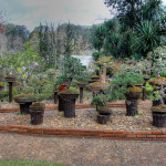 Doi Ang Khang Royal Agricultural Station, Chiang Mai province, Thailand