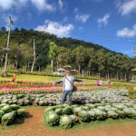 Doi Ang Khang Royal Agricultural Station, Chiang Mai province, Thailand