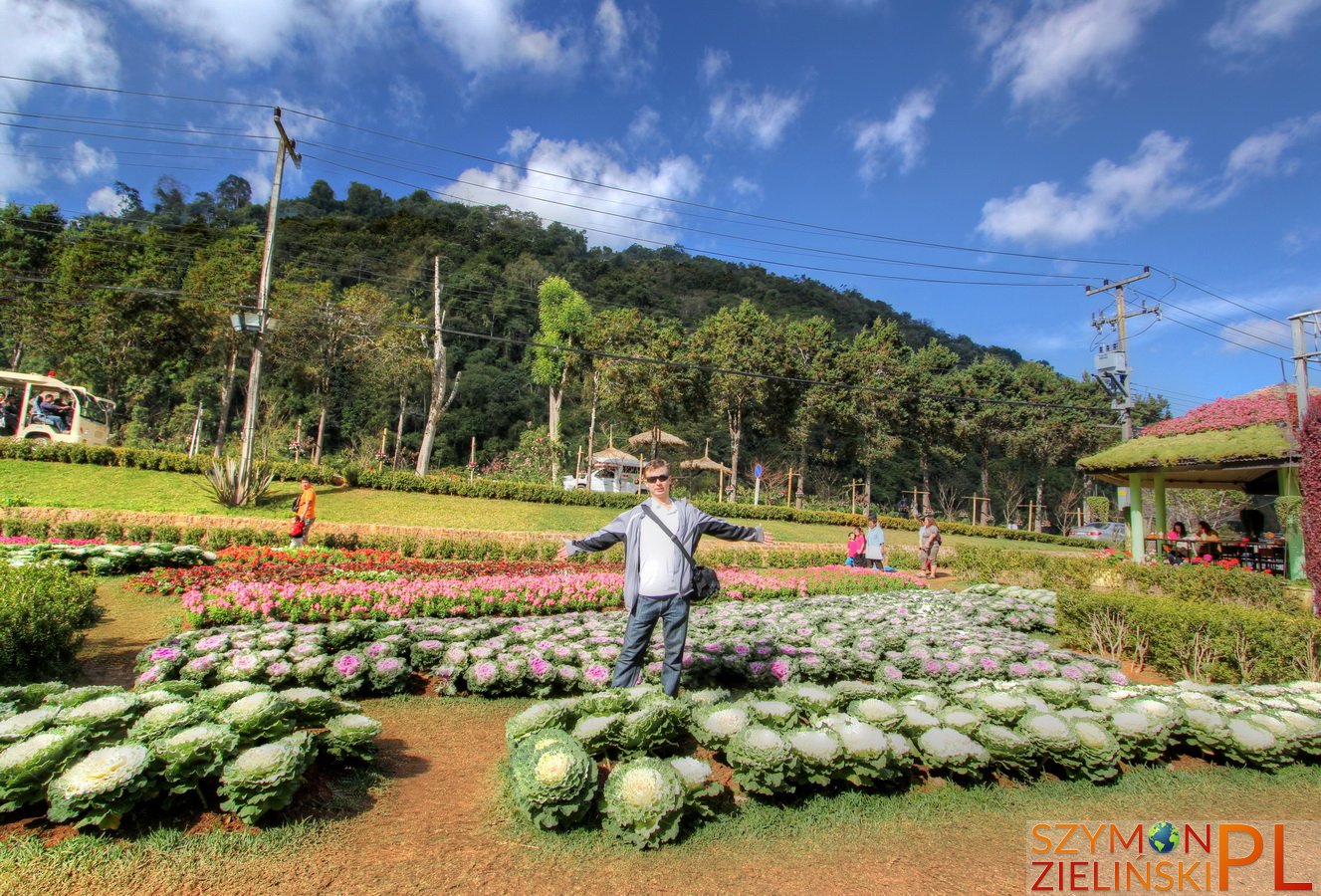 Doi Ang Khang Royal Agricultural Station, Chiang Mai province, Thailand