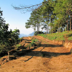 Doi Ang Khang, Chiang Mai province, Thailand