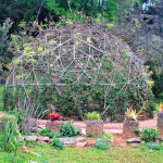 Doi Ang Khang Royal Agricultural Station, Chiang Mai province, Thailand