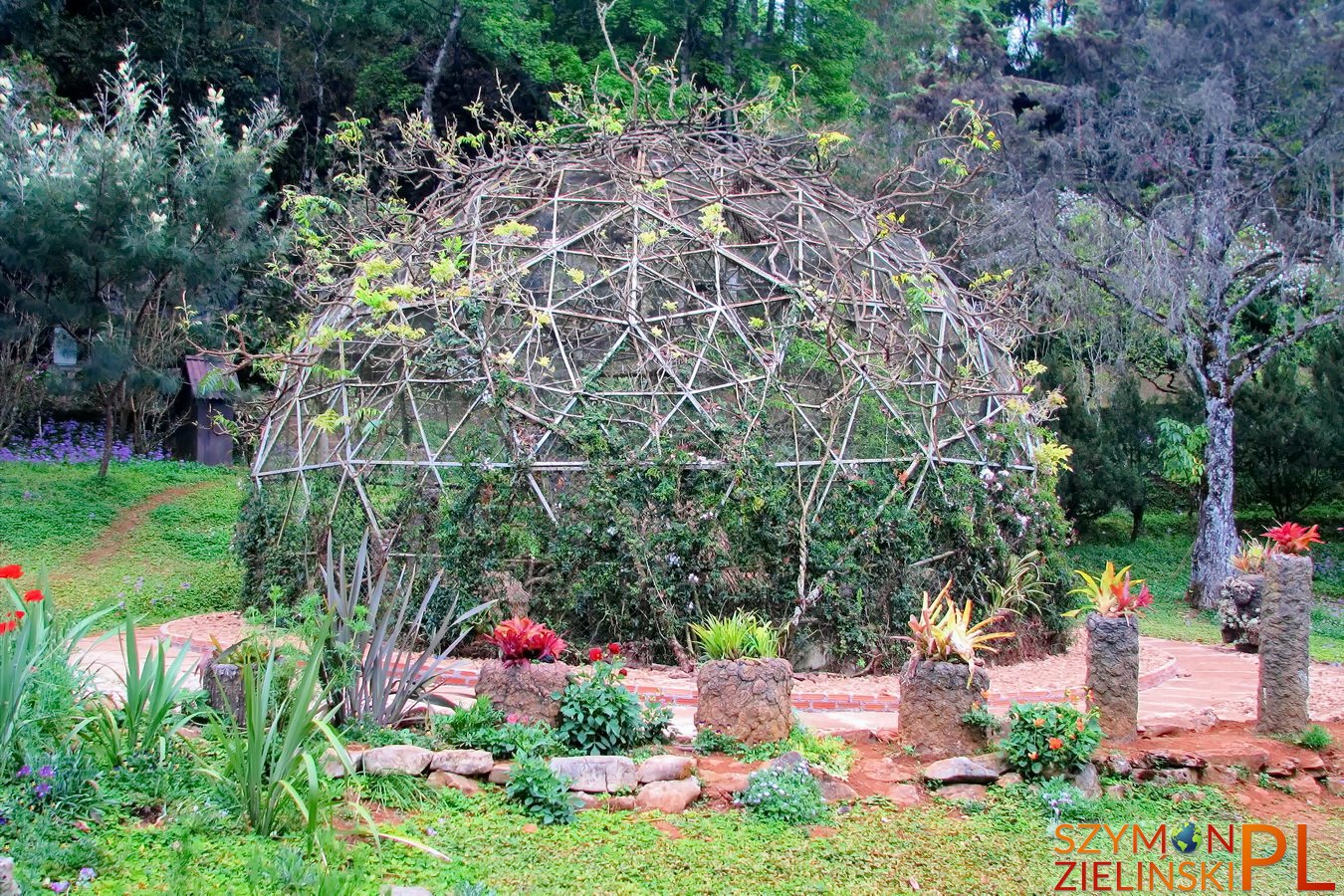 Doi Ang Khang Royal Agricultural Station, Chiang Mai province, Thailand