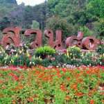 Doi Ang Khang Royal Agricultural Station, Chiang Mai province, Thailand