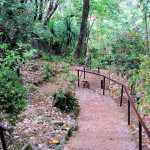 Doi Ang Khang Royal Agricultural Station, Chiang Mai province, Thailand