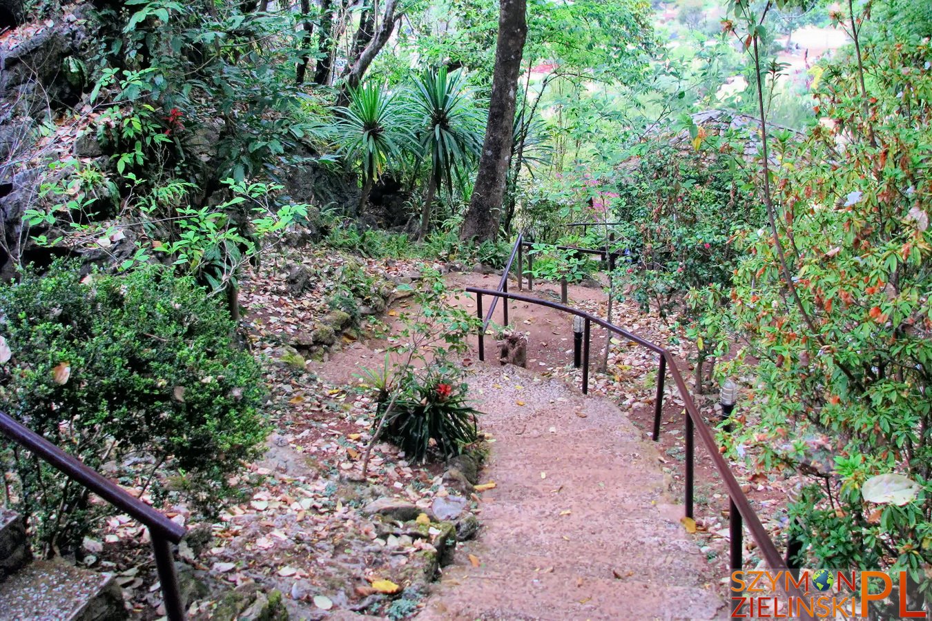 Doi Ang Khang Royal Agricultural Station, Chiang Mai province, Thailand