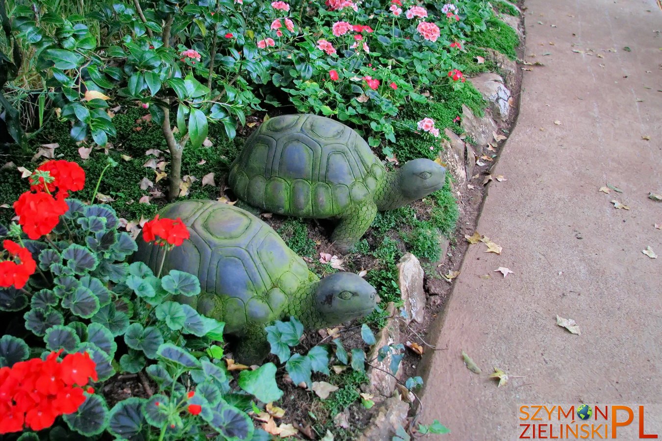 Doi Ang Khang Royal Agricultural Station, Chiang Mai province, Thailand