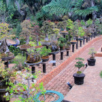 Doi Ang Khang Royal Agricultural Station, Chiang Mai province, Thailand