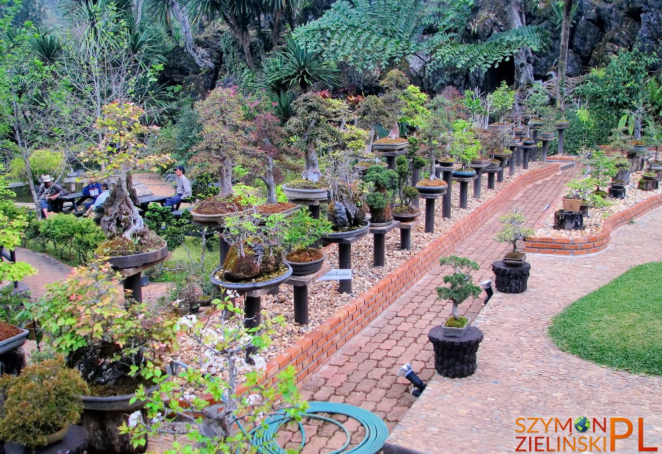 Doi Ang Khang Royal Agricultural Station, Chiang Mai province, Thailand