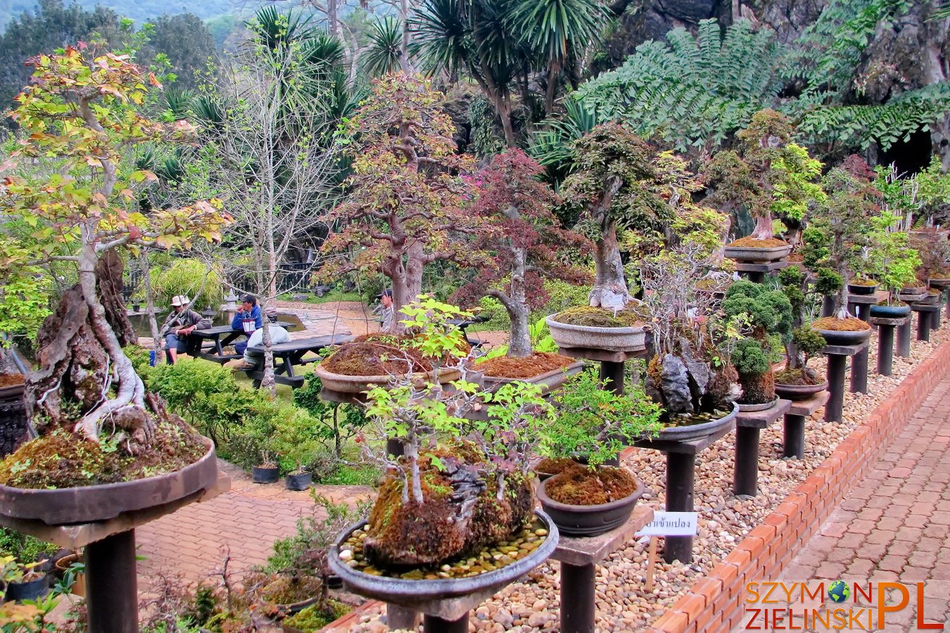 Doi Ang Khang Royal Agricultural Station, Chiang Mai province, Thailand