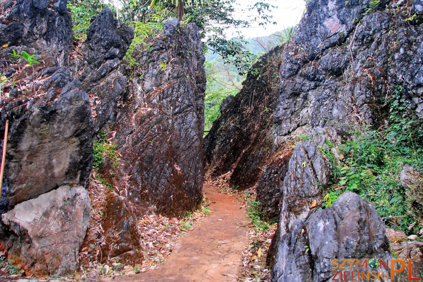 Doi Ang Khang Royal Agricultural Station, Chiang Mai province, Thailand