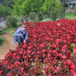 Doi Ang Khang Royal Agricultural Station, Chiang Mai province, Thailand