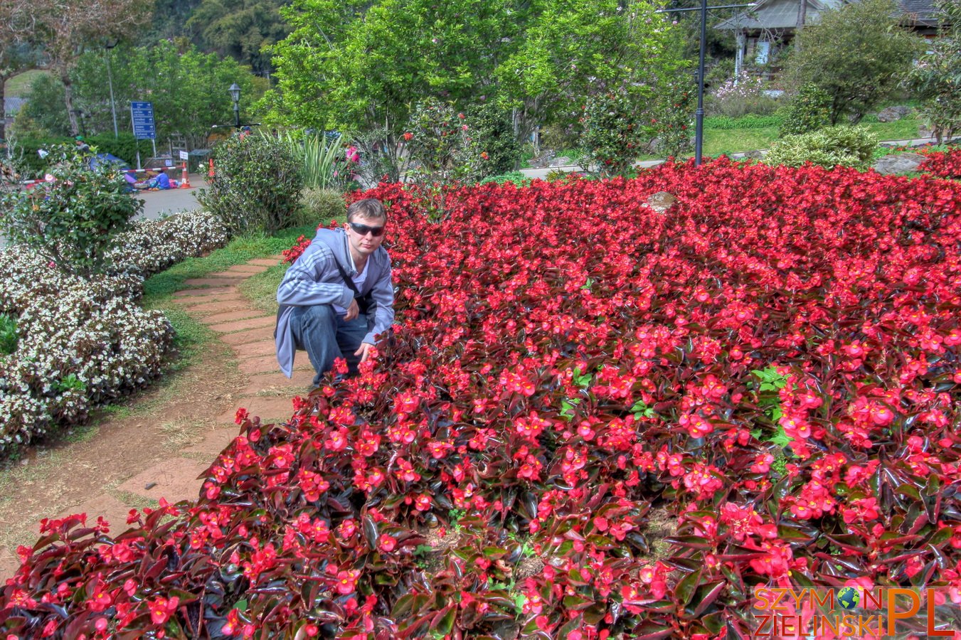 Doi Ang Khang Royal Agricultural Station, Chiang Mai province, Thailand