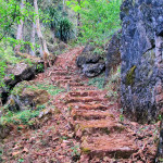 Doi Ang Khang Royal Agricultural Station, Chiang Mai province, Thailand