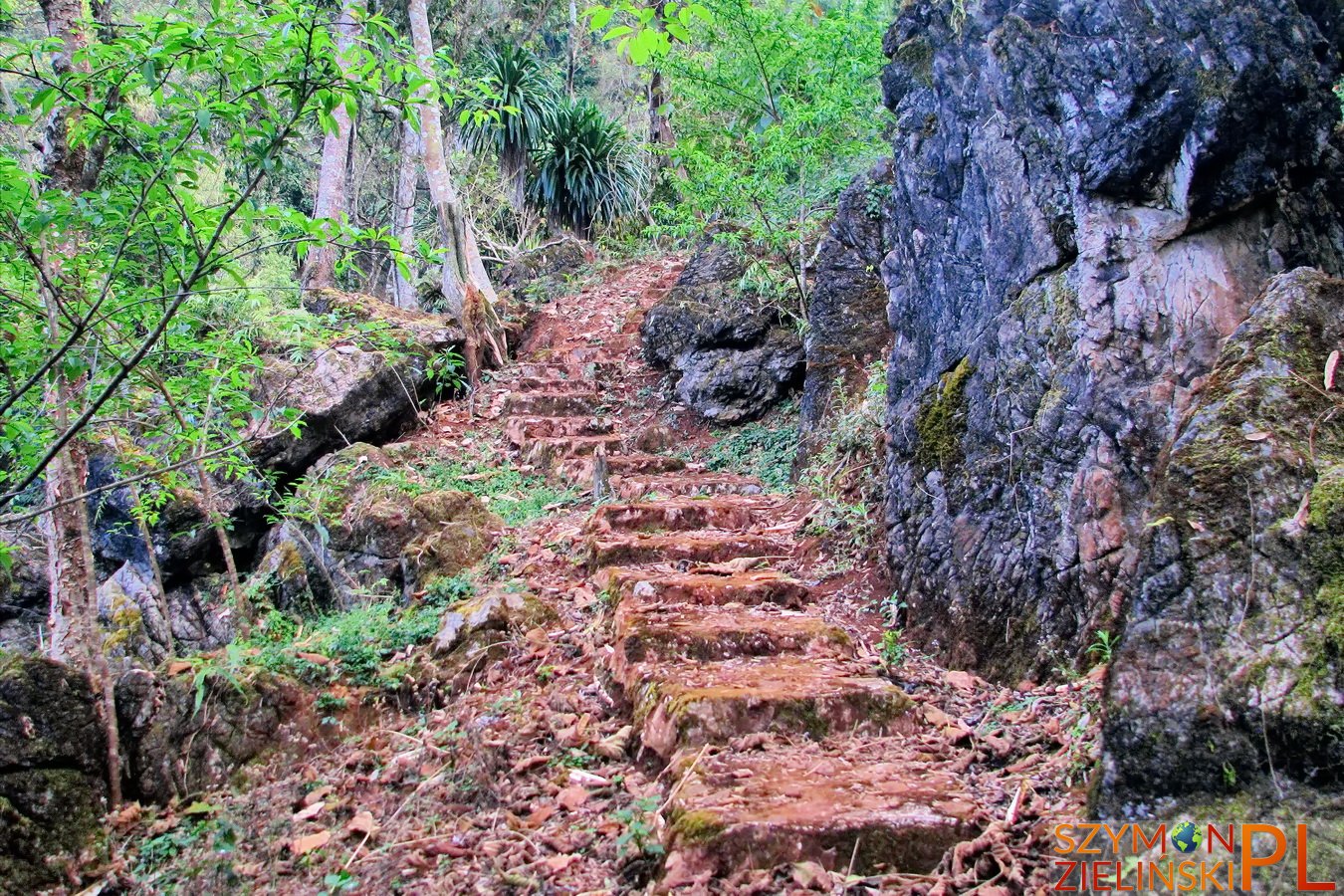 Doi Ang Khang Royal Agricultural Station, Chiang Mai province, Thailand