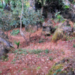 Doi Ang Khang Royal Agricultural Station, Chiang Mai province, Thailand