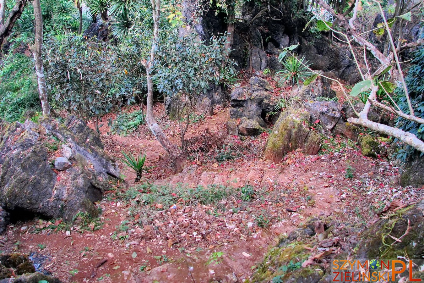 Doi Ang Khang Royal Agricultural Station, Chiang Mai province, Thailand