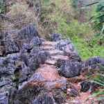 Doi Ang Khang Royal Agricultural Station, Chiang Mai province, Thailand