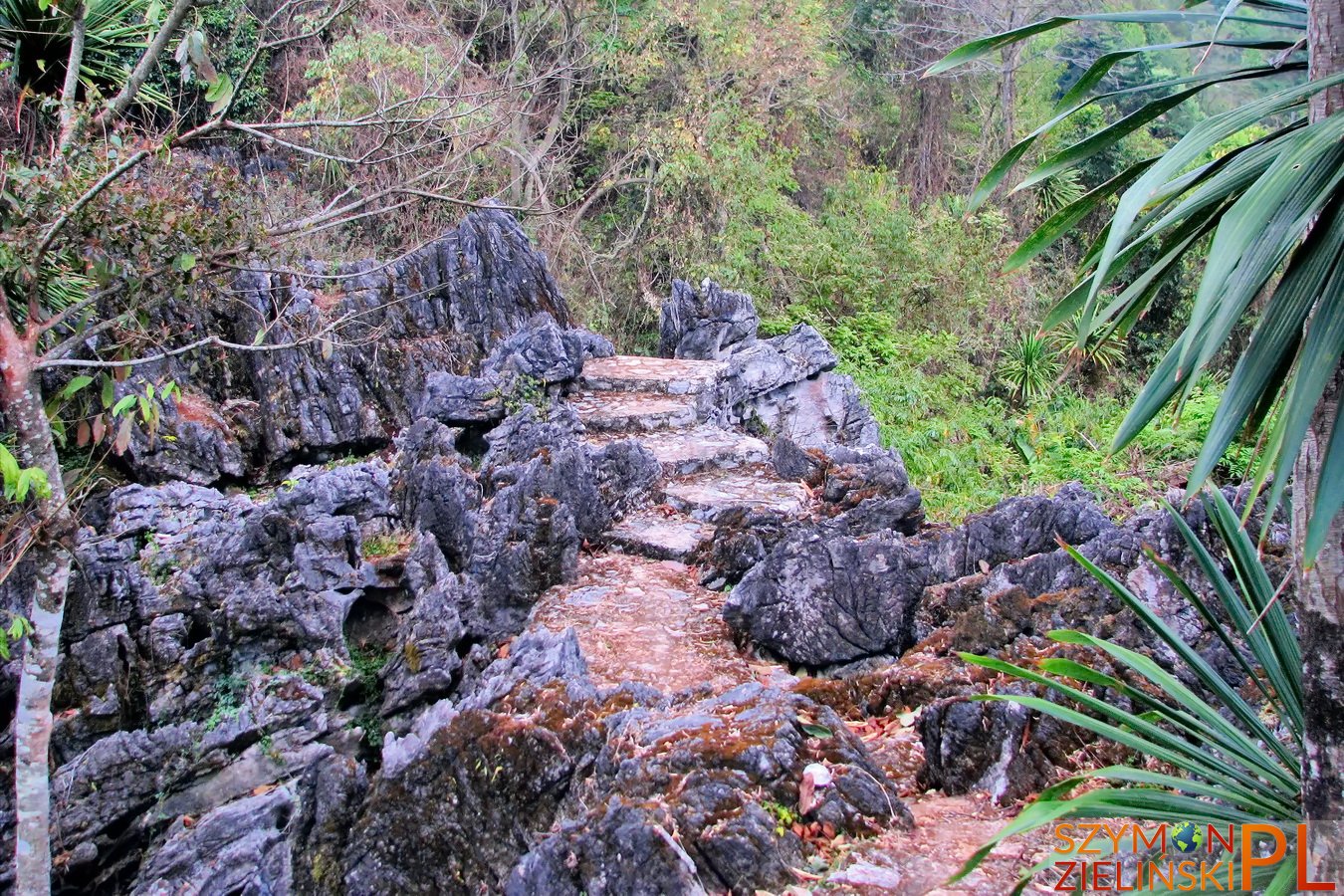 Doi Ang Khang Royal Agricultural Station, Chiang Mai province, Thailand