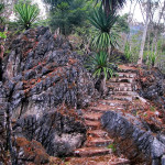 Doi Ang Khang Royal Agricultural Station, Chiang Mai province, Thailand