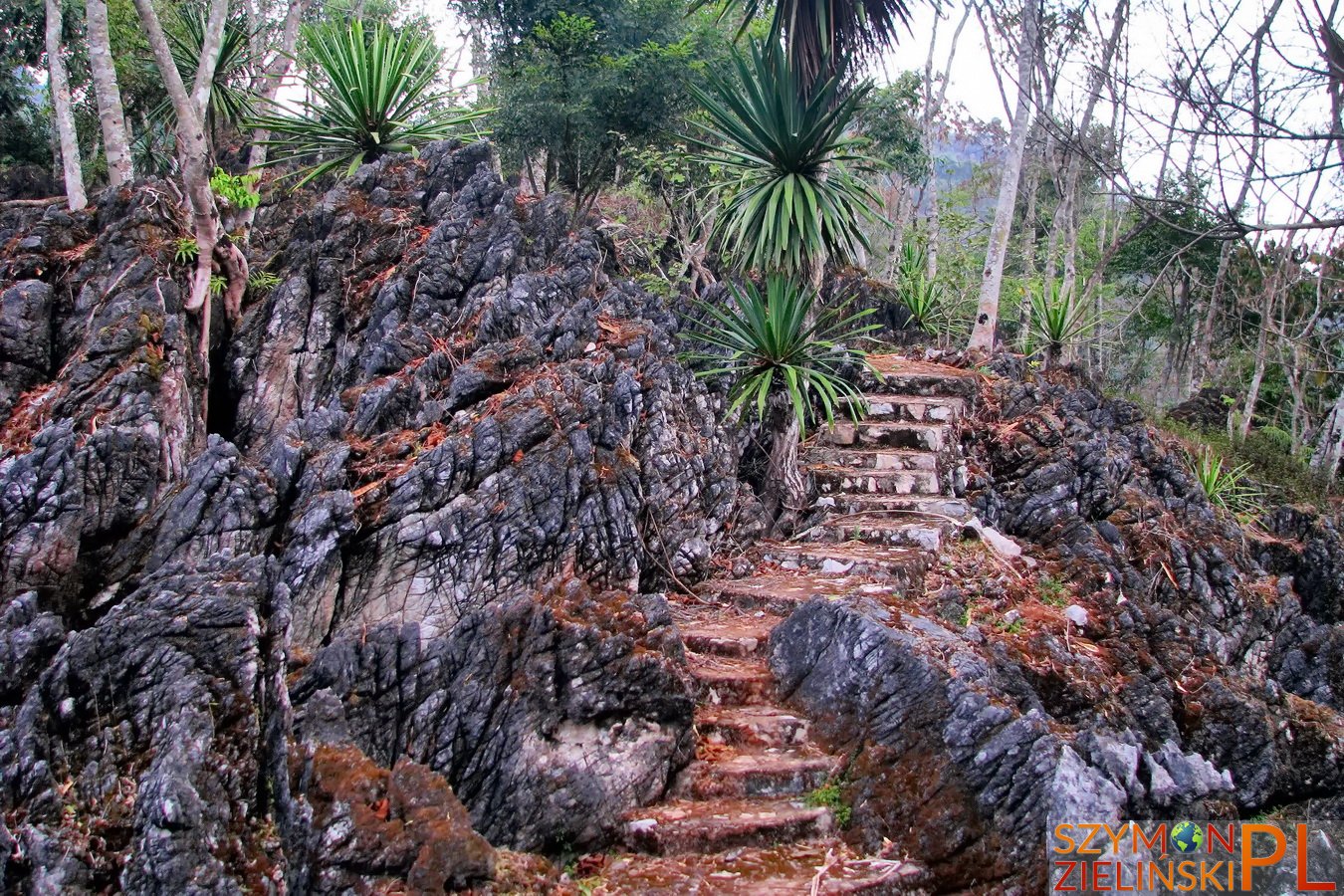 Doi Ang Khang Royal Agricultural Station, Chiang Mai province, Thailand