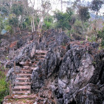 Doi Ang Khang Royal Agricultural Station, Chiang Mai province, Thailand