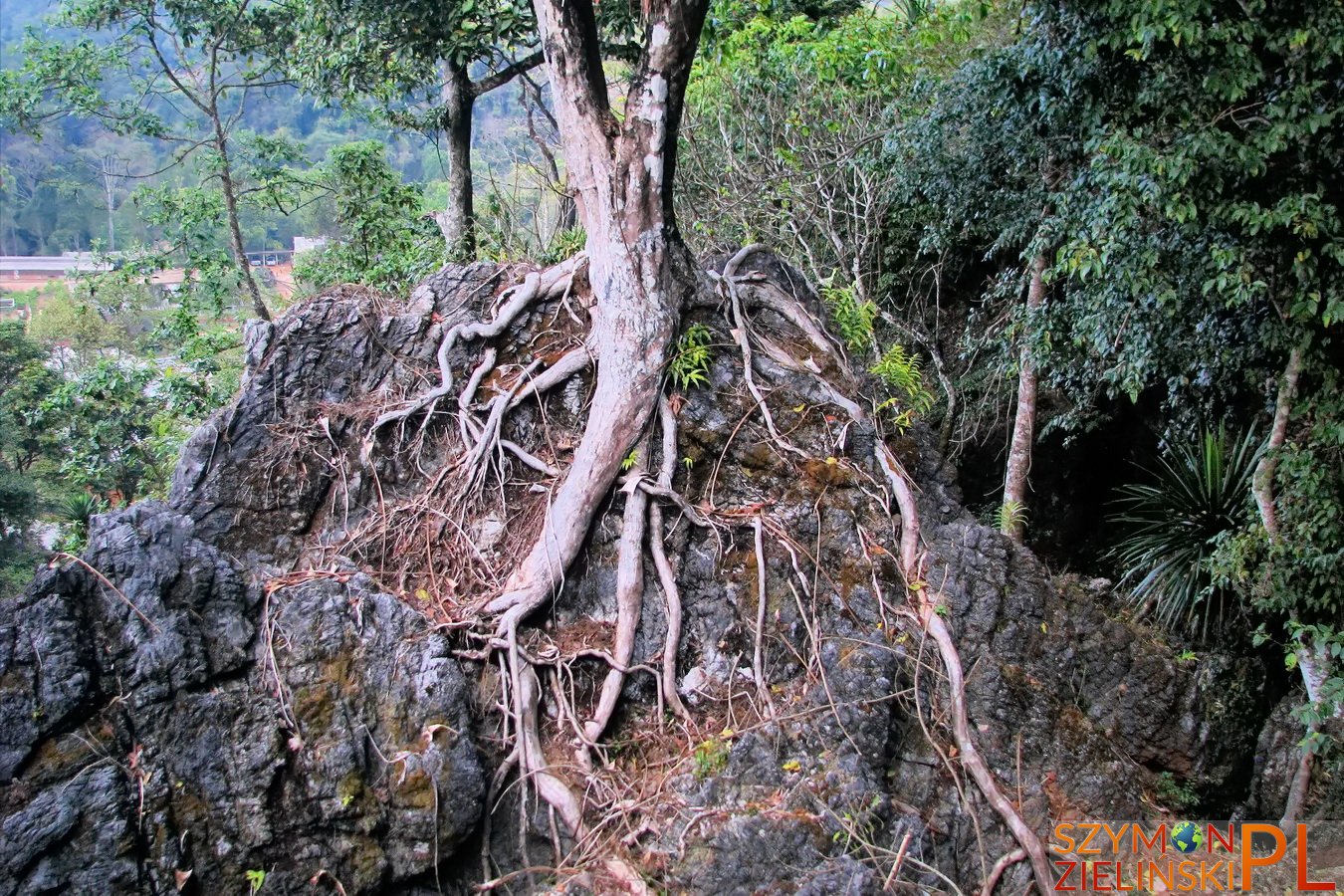 Doi Ang Khang Royal Agricultural Station, Chiang Mai province, Thailand