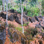 Doi Ang Khang Royal Agricultural Station, Chiang Mai province, Thailand