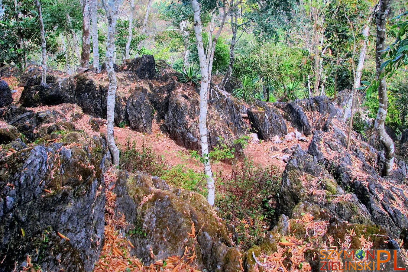 Doi Ang Khang Royal Agricultural Station, Chiang Mai province, Thailand