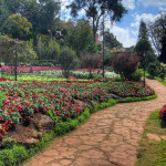 Doi Ang Khang Royal Agricultural Station, Chiang Mai province, Thailand