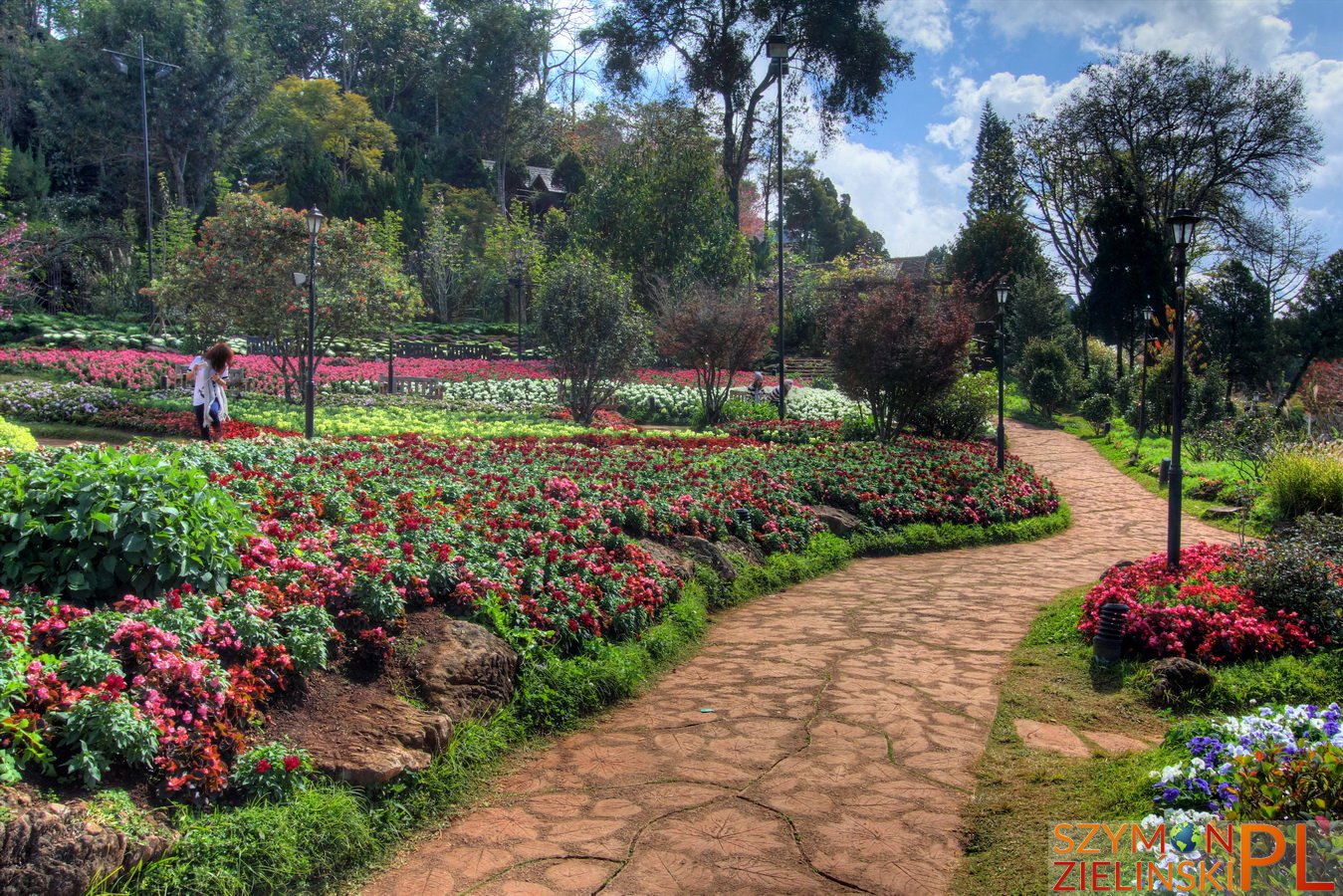 Doi Ang Khang Royal Agricultural Station, Chiang Mai province, Thailand