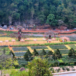 Doi Ang Khang Royal Agricultural Station, Chiang Mai province, Thailand