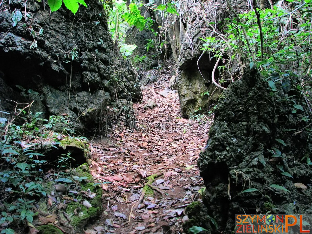 Doi Ang Khang Royal Agricultural Station, Chiang Mai province, Thailand