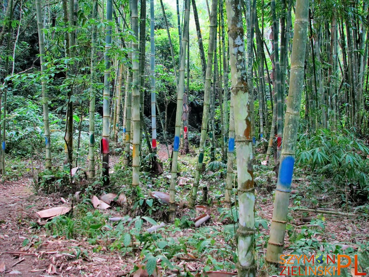 Doi Ang Khang Royal Agricultural Station, Chiang Mai province, Thailand