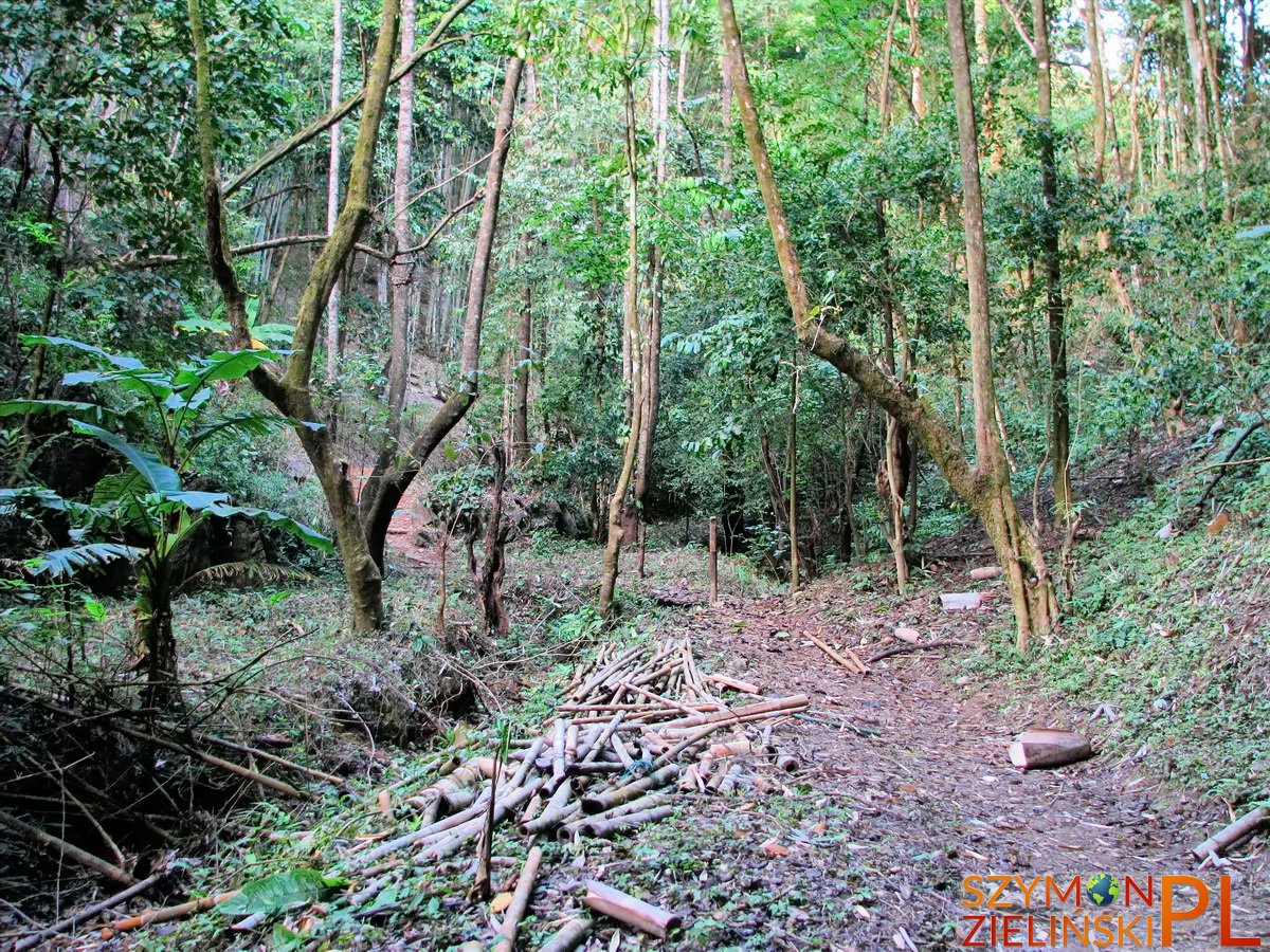 Doi Ang Khang Royal Agricultural Station, Chiang Mai province, Thailand