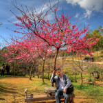 Doi Ang Khang Royal Agricultural Station, Chiang Mai province, Thailand